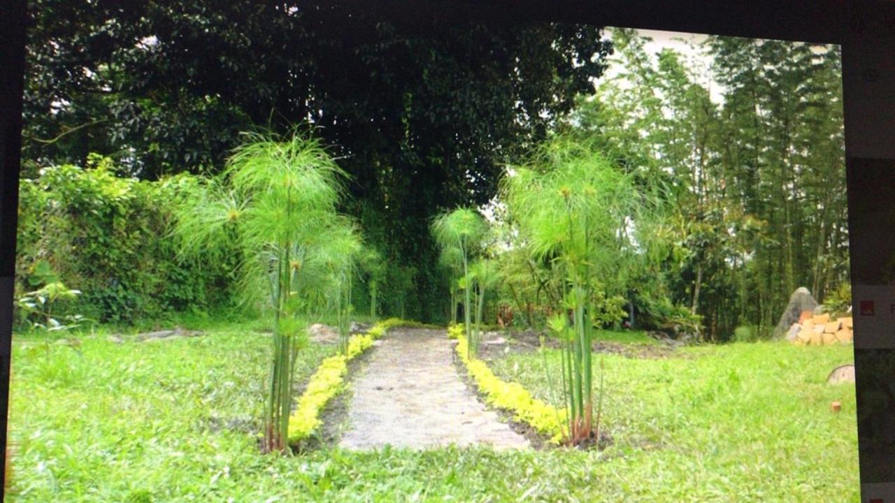 Lodge Elenita