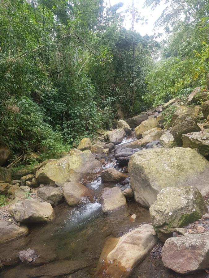 Elenita Lodge Sasaima